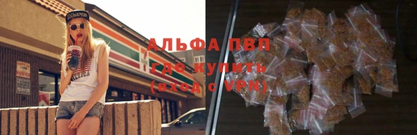 шишки Баксан