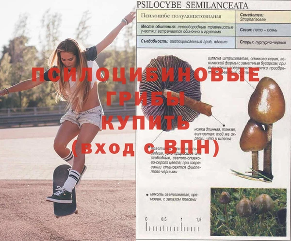 мефедрон мука Белокуриха