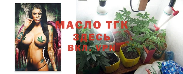 шишки Баксан