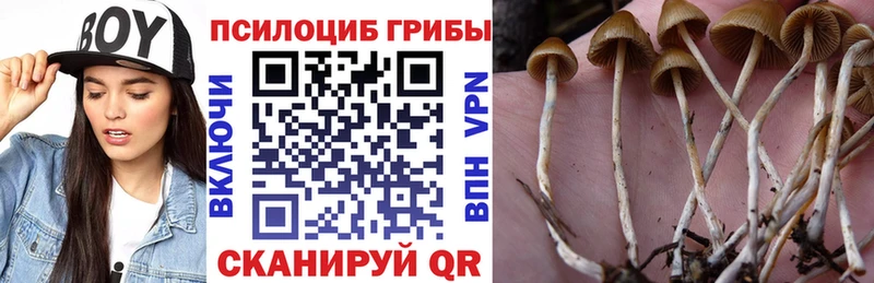 Псилоцибиновые грибы ЛСД  где купить наркоту  Тотьма 